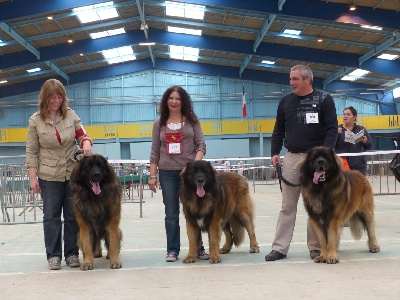 Des Songes Du Clan Des Loups - Expo de Nevers du 07/09/2013