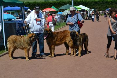 Des Songes Du Clan Des Loups - Eros et ses enfants en exposition