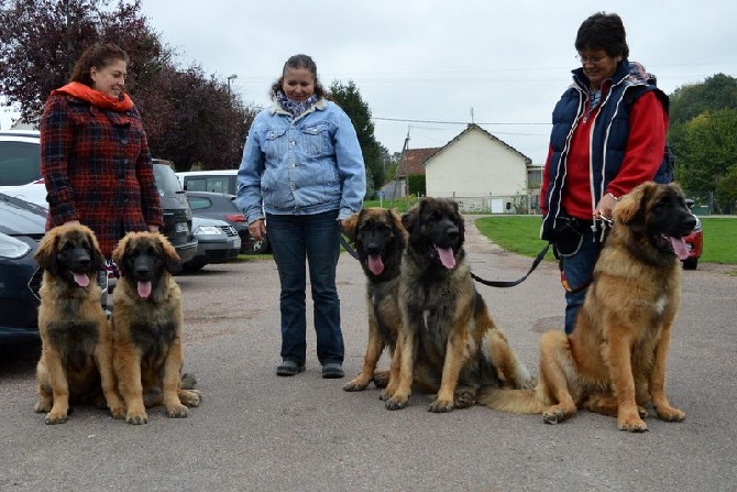 Des Songes Du Clan Des Loups - Souvenir du Léo Rallye de la Chapelle sur Oreuse