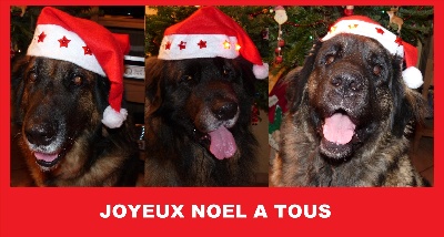 Des Songes Du Clan Des Loups - JOYEUX NOËL