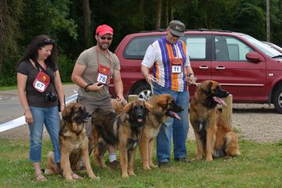 Des Songes Du Clan Des Loups - Photo de Famille