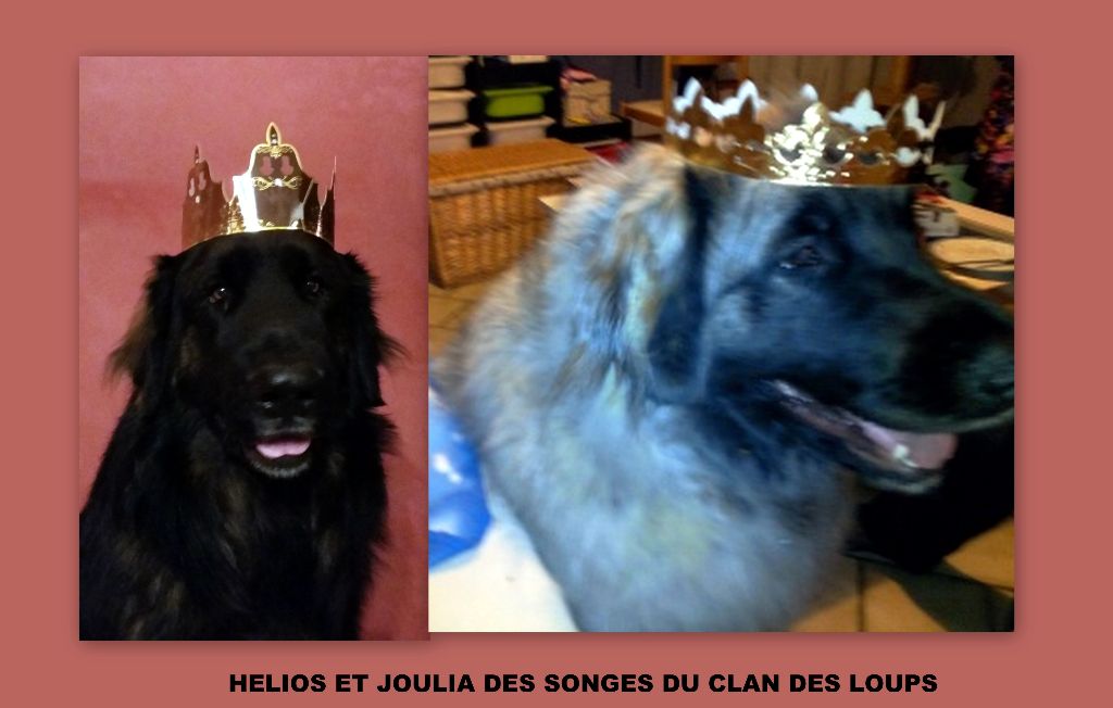 Des Songes Du Clan Des Loups - Le Roi Hélios et la Reine Joulia