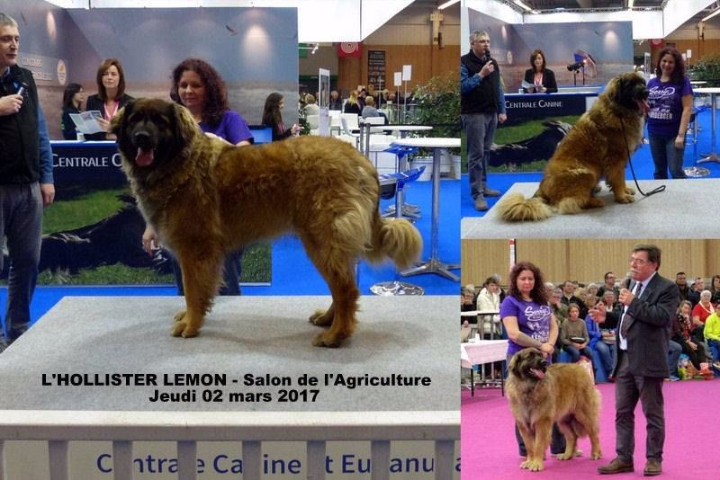 Des Songes Du Clan Des Loups - L'Hollister au Salon de l'Agriculture