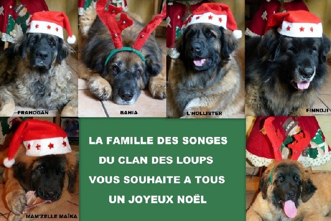 Des Songes Du Clan Des Loups - Joyeux Noël