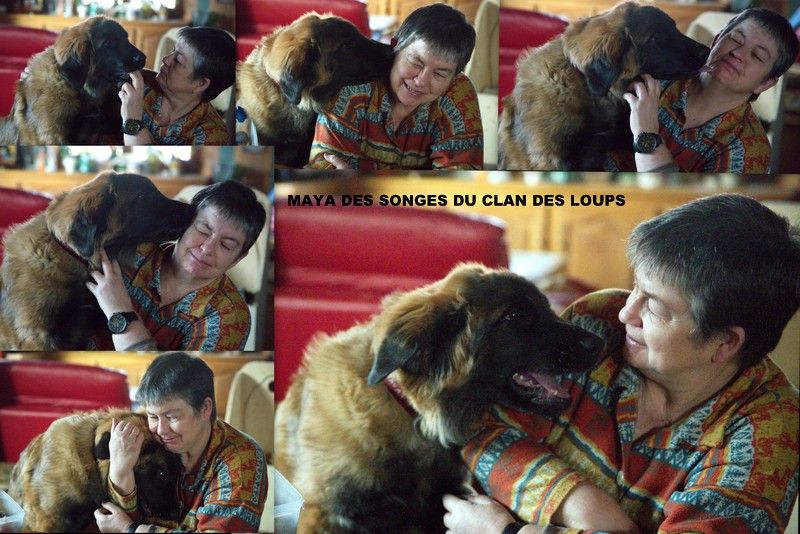 Des Songes Du Clan Des Loups - Séance calinous pour Maya
