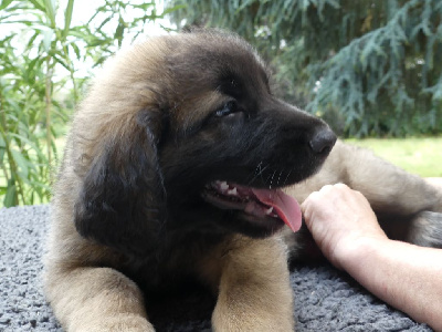 USHKA